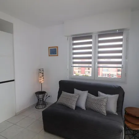 Appartement 47M² Avec Terrasse Vue Mer Et Box Privatif Securise - Fr-1-472A-128 * 塞特港