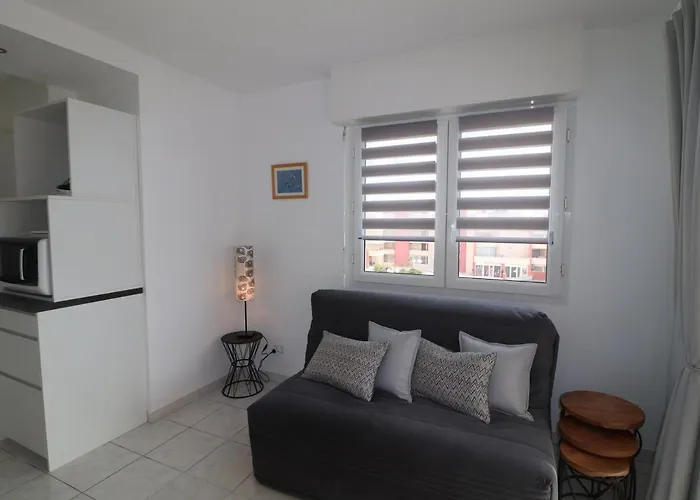 Appartement 47M² Avec Terrasse Vue Mer Et Box Privatif Securise - Fr-1-472A-128 * Sète