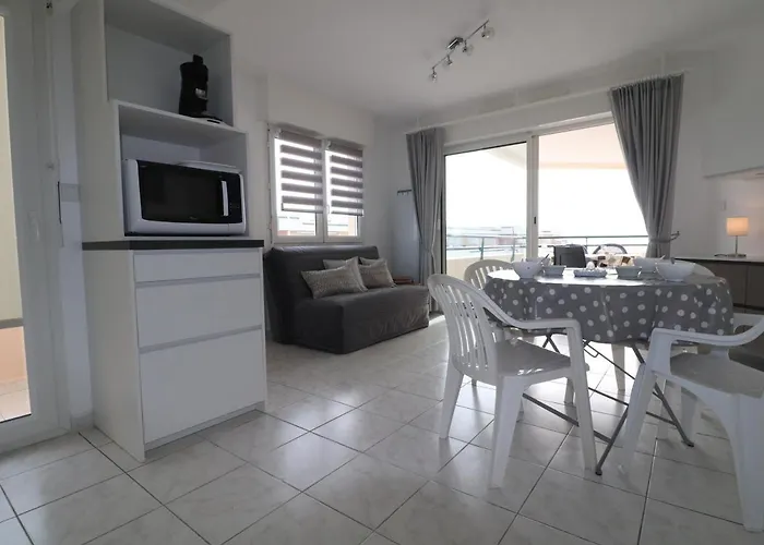 Appartement 47M² Avec Terrasse Vue Mer Et Box Privatif Securise - Fr-1-472A-128 Sète